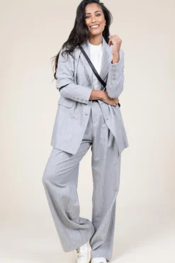 Online D-ETOILES CASIOPE Lurex Linen Pleated Trousers Genius | Grey... | | Little Soho