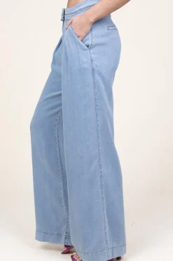 Best Aaiko Soft Tencel Pleated Pants Fredrique | Blue... | | Little Soho
